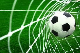 Soccer ball hitting net