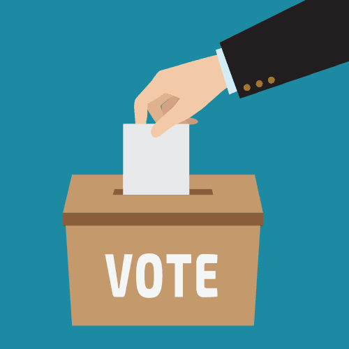 Voting Graphic