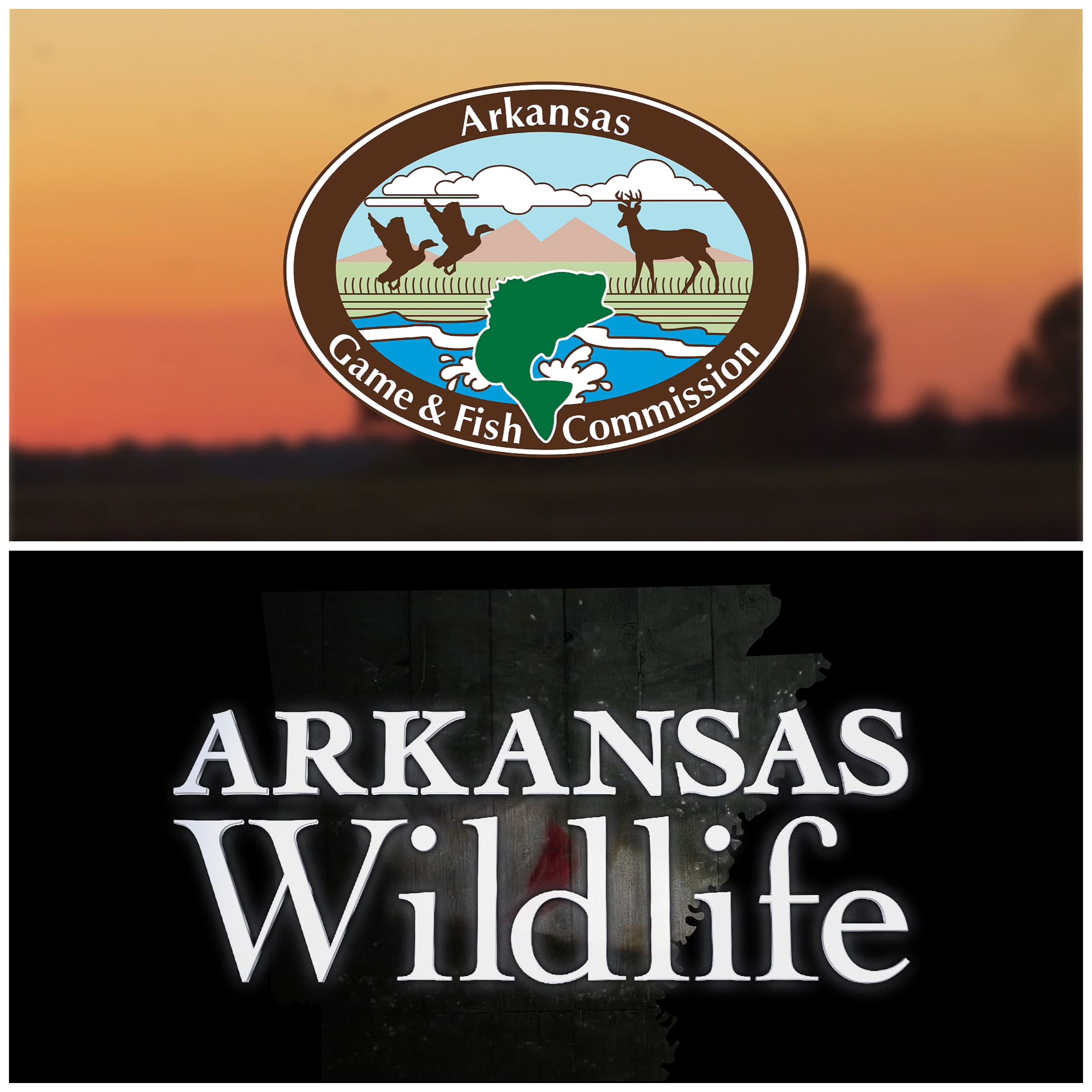 Arkansas Wildlife City of Jonesboro Suddenlink TV Channel 24