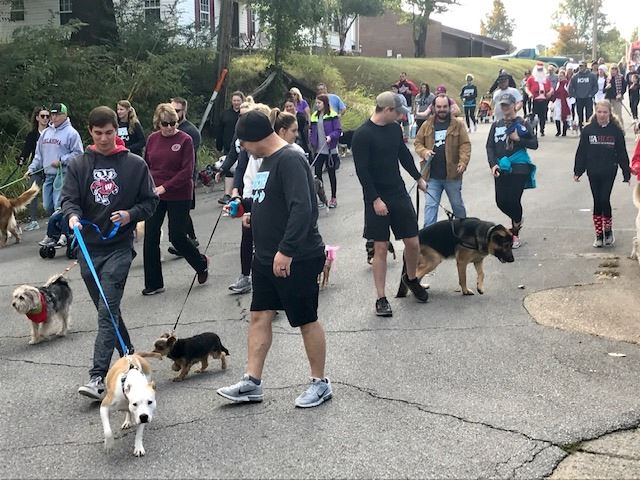 People walking dogs down street.