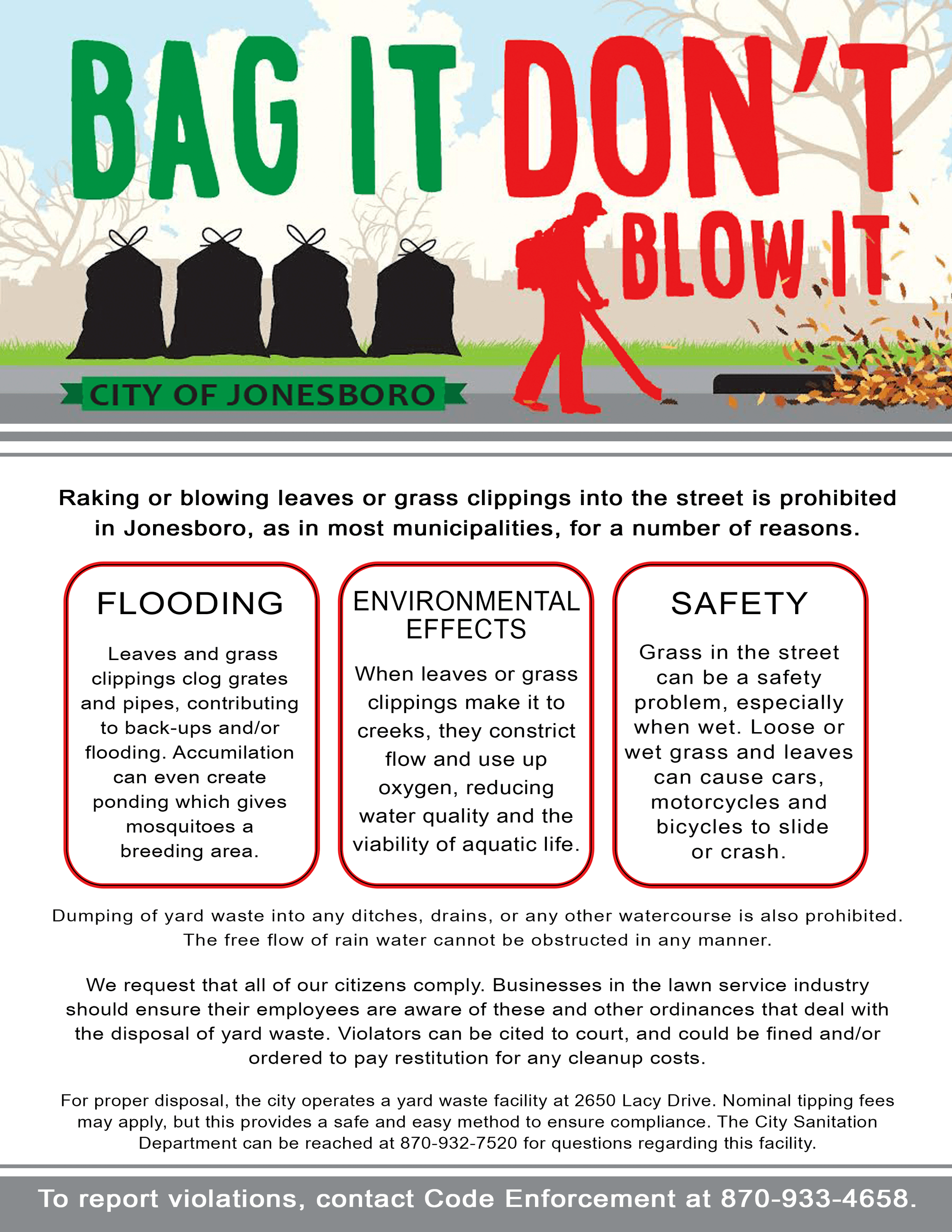 Bag It, Don't Blow It flyer
