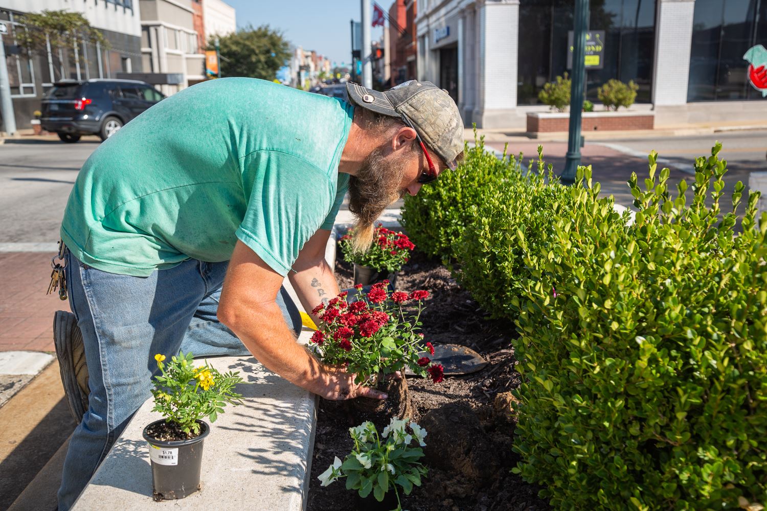 Parks employee planting flowers in a bed.